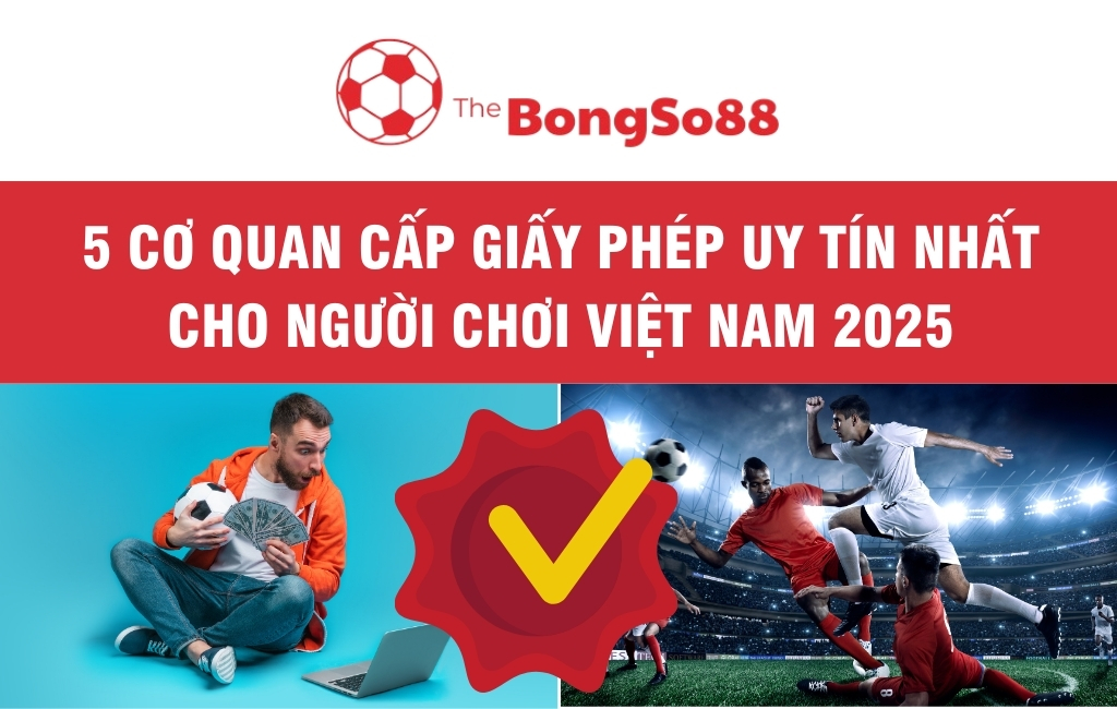 5 Cơ Quan Cấp Giấy Phép Uy Tín Nhất Cho Người Chơi Việt Nam 2025