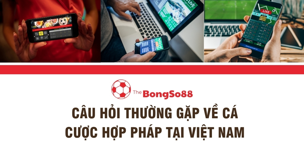 Câu Hỏi Thường Gặp Về Cá Cược Hợp Pháp Tại Việt Nam