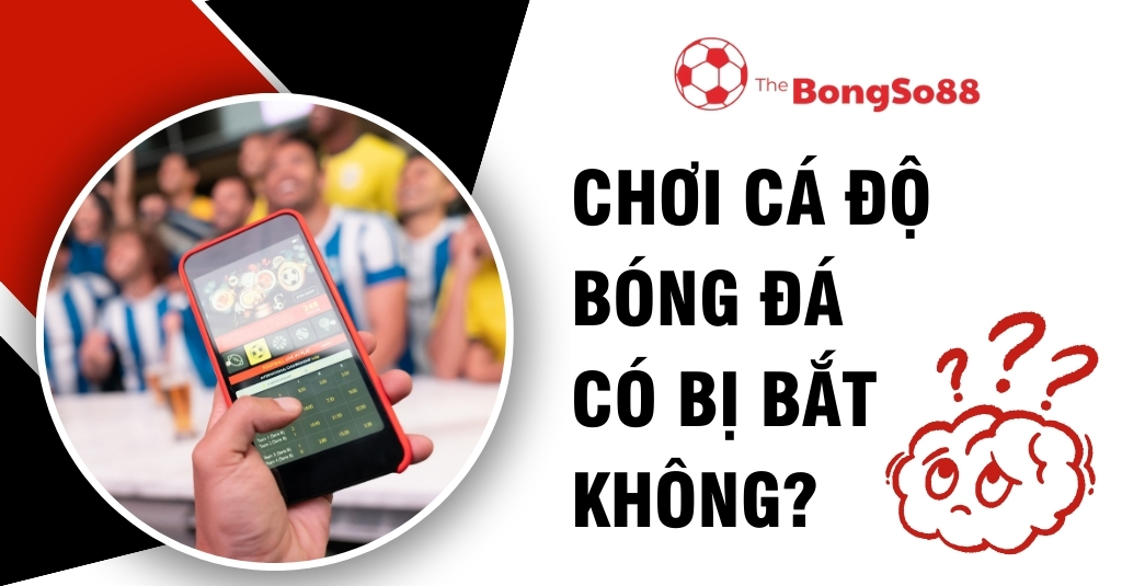 Người dùng cầm điện thoại có ứng dụng cá độ tại sân vận động và câu hỏi "Chơi cá độ bóng đá có bị bắt không?" cùng hình bộ não bối rối.
