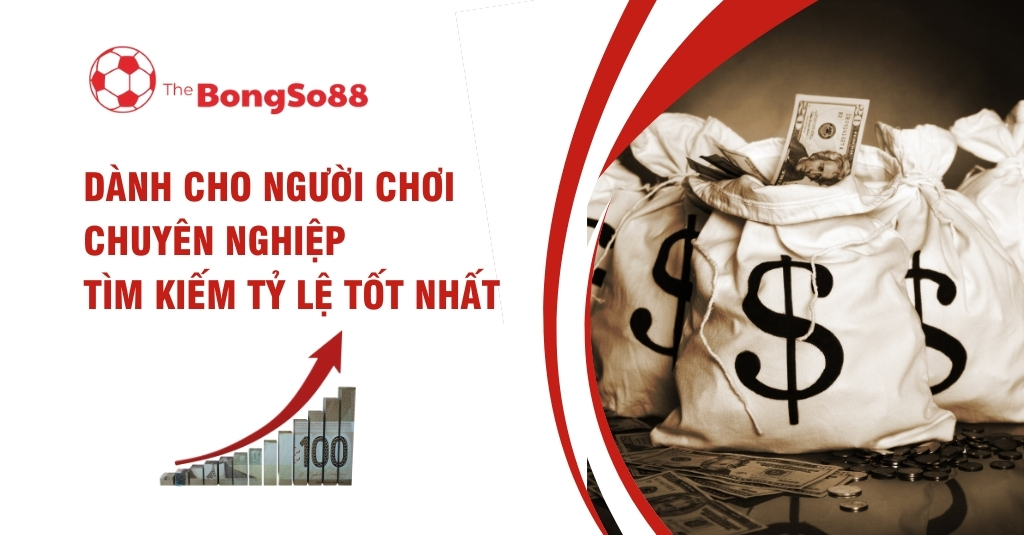 Người chơi chuyên nghiệp tìm tỷ lệ tốt nhất với biểu đồ tăng trưởng và hình ảnh các túi tiền đô la tượng trưng cho lợi nhuận.