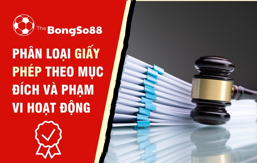 Phân Loại Giấy Phép Theo Mục Đích và Phạm Vi Hoạt Động