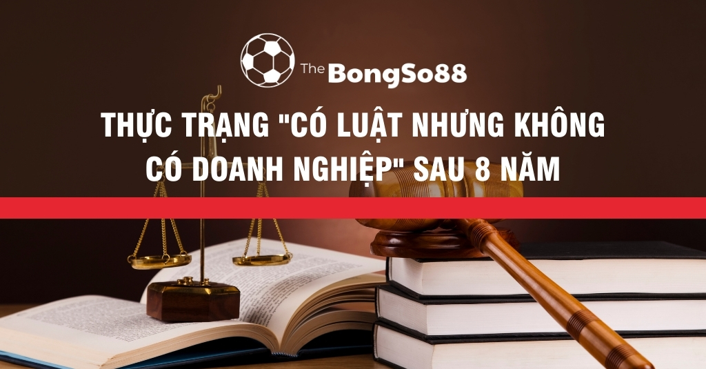 Thực Trạng _Có Luật Nhưng Không Có Doanh Nghiệp_ Sau 8 Năm