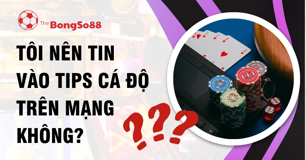 Câu hỏi có nên tin vào tips cá độ trên mạng không, minh họa bằng chip poker, xúc xắc và bộ bài thắng trên laptop.