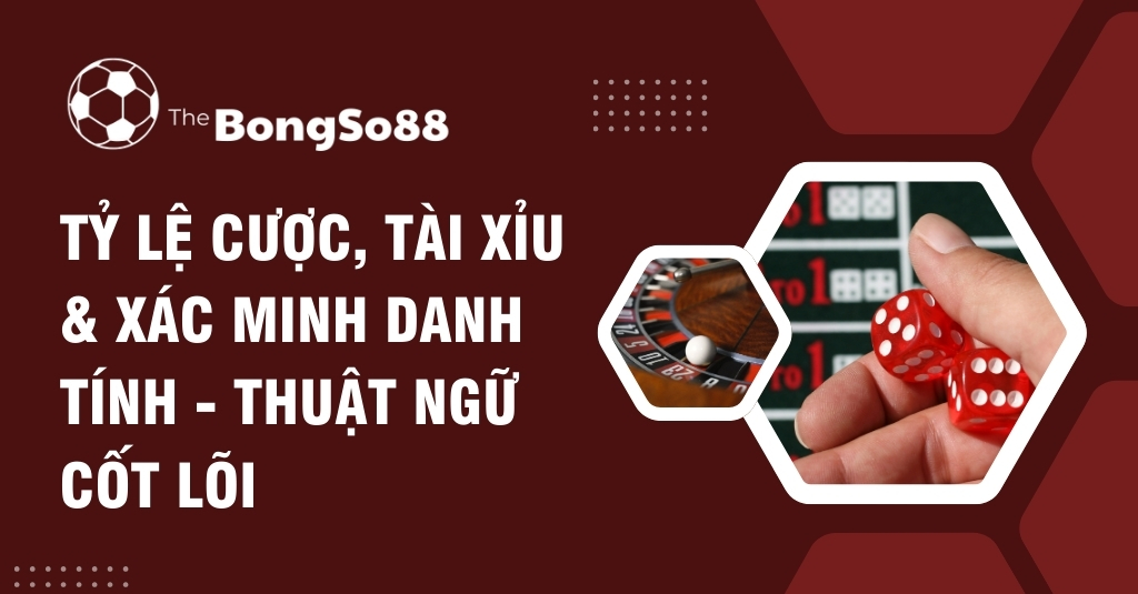 Tỷ Lệ Cược, Tài Xỉu & Xác Minh Danh Tính - Thuật Ngữ Cốt Lõi