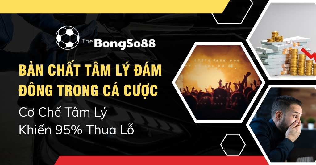 Bản chất tâm lý đám đông trong cá cược - cơ chế tâm lý khiến 95% thua lỗ 