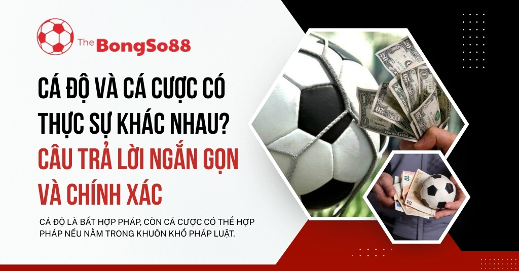 Cá độ và cá cược có thực sự khác nhau? Câu trả lời ngắn gọn và chính xác, phân biệt tính hợp pháp của hai hình thức này.