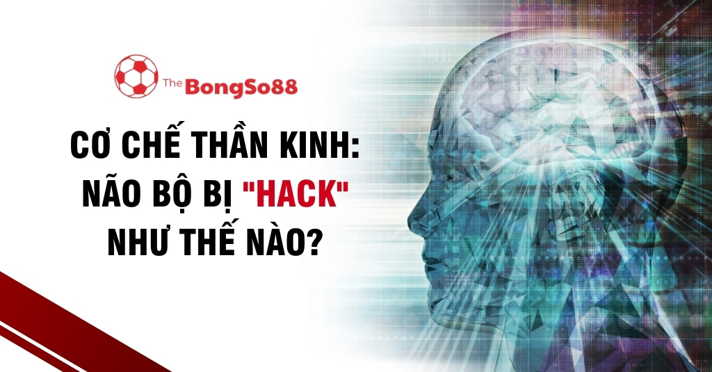 Hình ảnh đồ họa bộ não người với dòng chữ "Cơ chế thần kinh: Não bộ bị 'hack' như thế nào?" và logo The BongSo88.