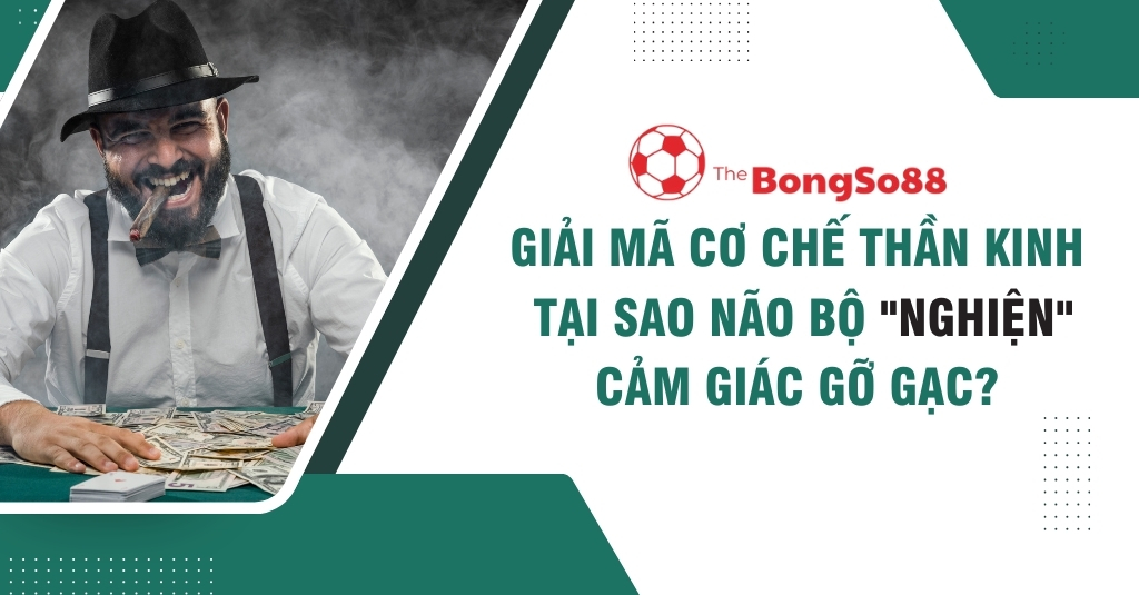 Giải Mã Cơ Chế Thần Kinh: Tại Sao Não Bộ "Nghiện" Cảm Giác Gỡ Gạc?