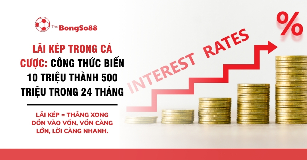 Lãi kép trong cá cược: công thức biến 10 triệu thành 500 triệu trong 24 tháng