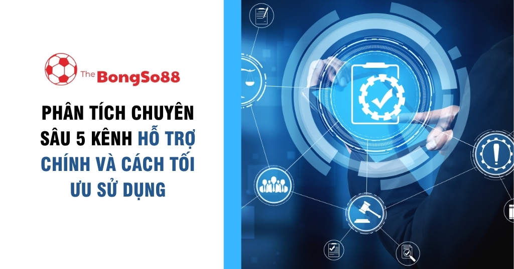 Phân Tích Chuyên Sâu 5 Kênh Hỗ Trợ Chính và Cách Tối Ưu Sử Dụng