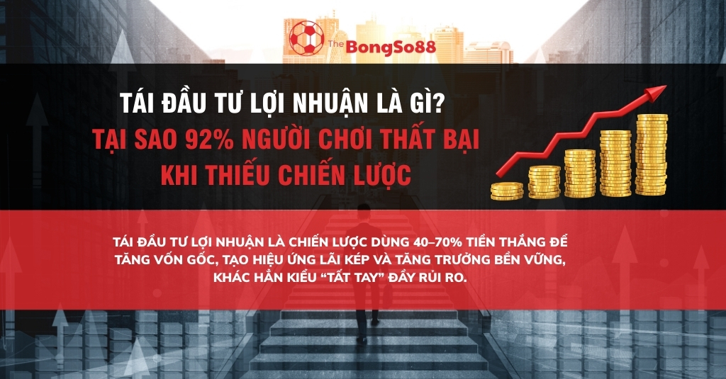 Tái đầu tư lợi nhuận là gì? tại sao 92% người chơi thất bại khi thiếu chiến lược
