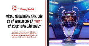 Ngoại hạng Anh, Cúp C1 và World Cup là vua cá cược 2025, với hình ảnh cận cảnh chiếc cúp UEFA Champions League.