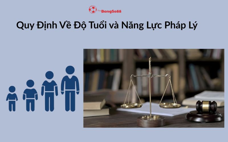 Biểu đồ lứa tuổi và cân công lý minh họa "Quy Định Về Độ Tuổi và Năng Lực Pháp Lý" của TheBongSo88.