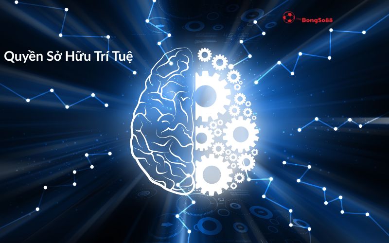 Bộ não chia đôi giữa một bên là hữu cơ và một bên là bánh răng, minh họa "Quyền Sở Hữu Trí Tuệ" của BongSo88.