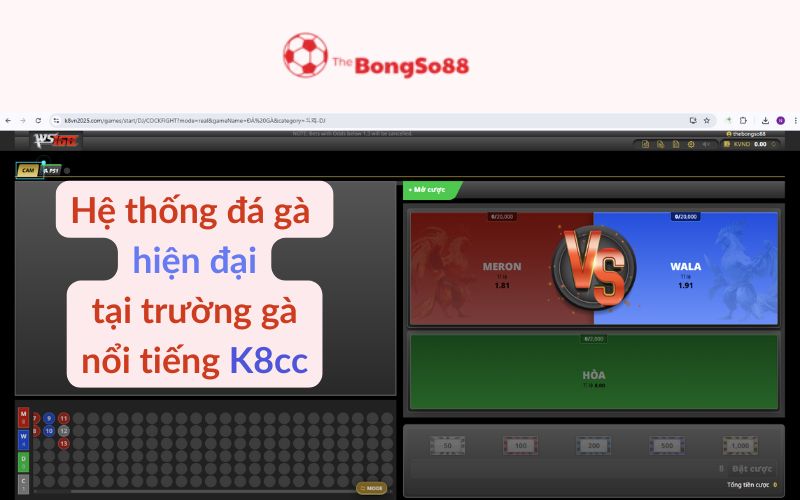 Hệ thống đá gà K8cc hiện đại với giao diện cược trực tiếp Meron vs Wala, giới thiệu bởi The BongSo88.
