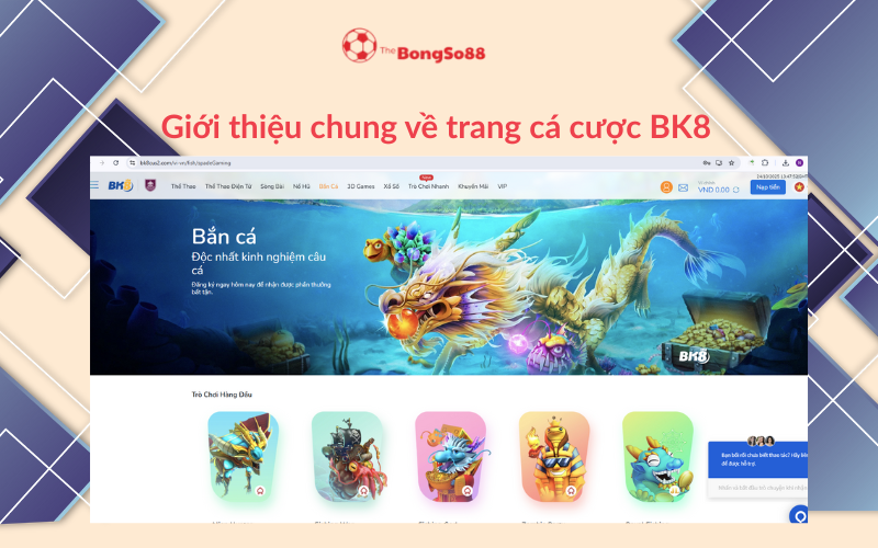 Giới thiệu chung về trang cá cược BK8, hiển thị sảnh game bắn cá đặc sắc, được giới thiệu bởi The BongSo88.