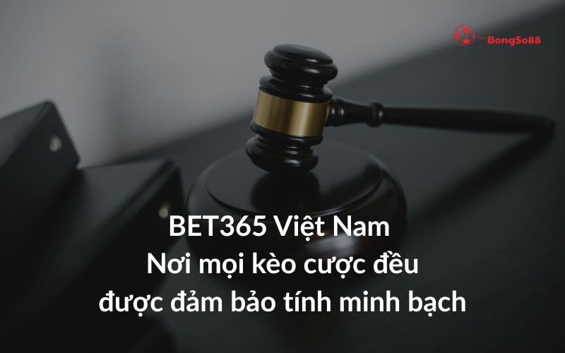 Búa thẩm phán trên nền tối với text "BET365 Việt Nam Nơi mọi kèo cược đều được đảm bảo tính minh bạch" và logo BongSo88.